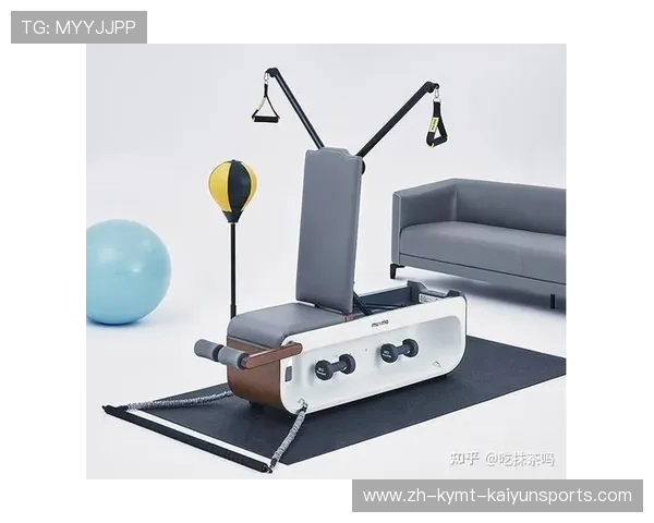 飞鸟家用健身设备小型化设计释放空间 飞鸟家用健身设备小型化设计释放空间