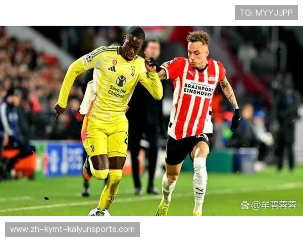 意甲20支球队同意名单及球队合作关系分析